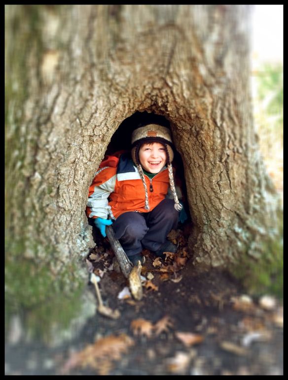 Dominic in a tree